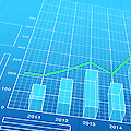 Share Holders Meeting Information